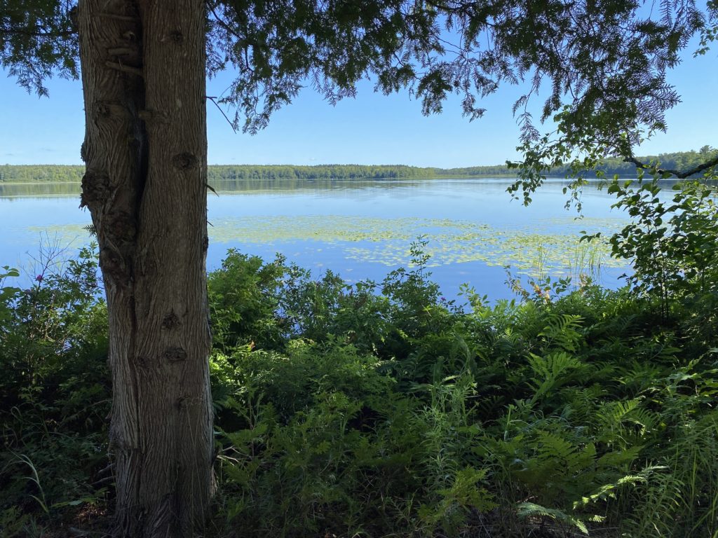 Brevoort Lake